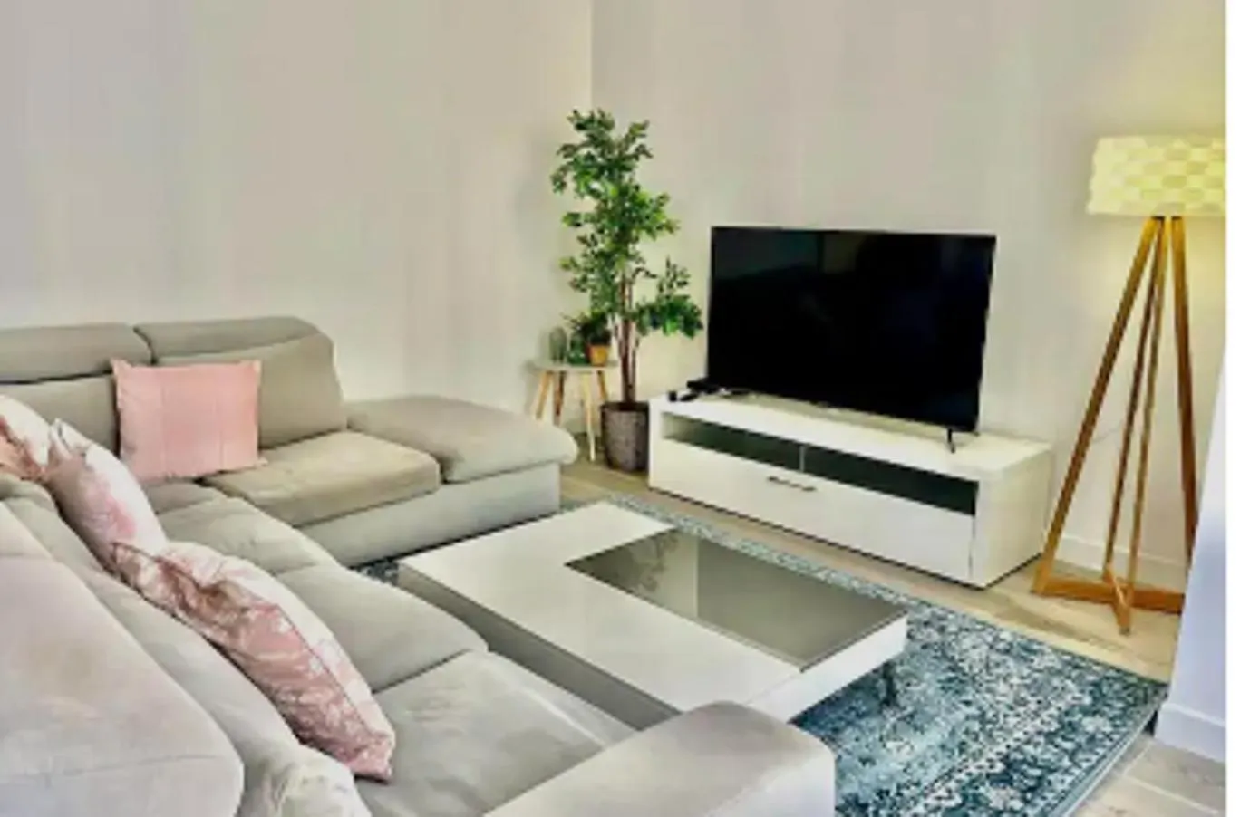 Large 4-Room Town Center Near Monaco Beausoleil